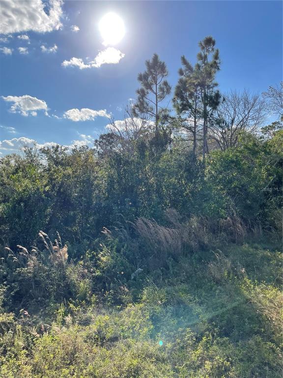 3125 HICKORY TREE ROAD