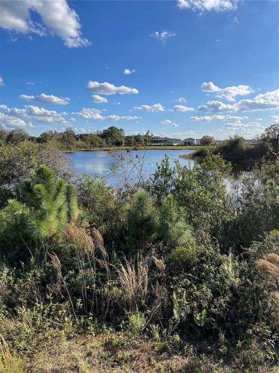 3125 HICKORY TREE ROAD
