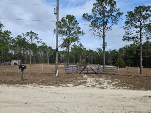 13391 NE 43RD LANE WILLISTON FL 32696