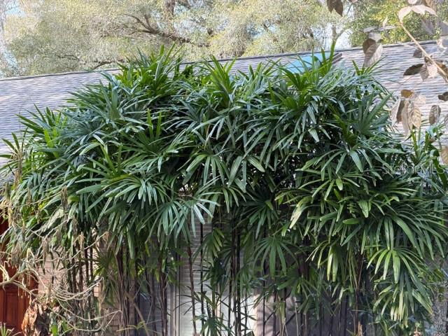 STONEWOOD FARM - Residential