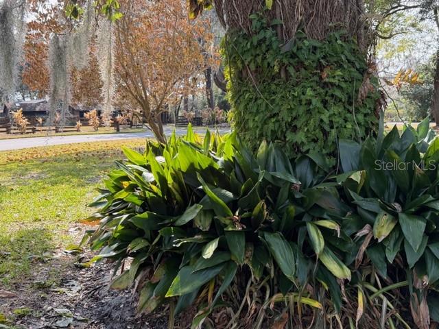 STONEWOOD FARM - Residential