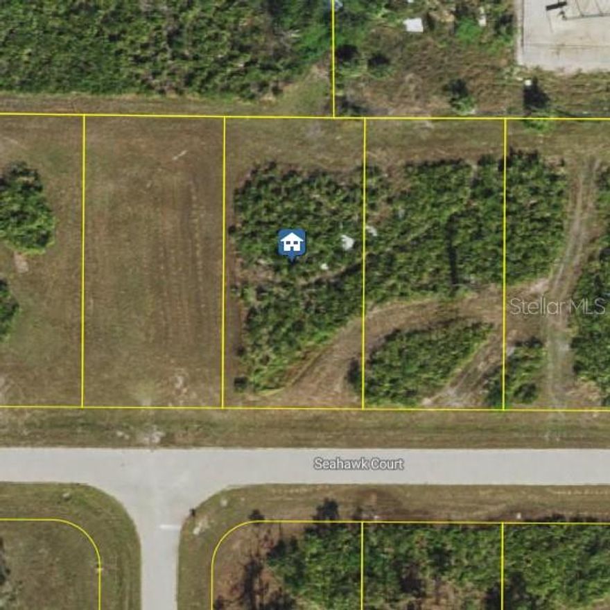 One of the larger lots in the desirable Seahawk Court area of Placida! This spacious parcel offers a prime location in a quiet, friendly neighborhood while still being close to beaches, boating, and local amenities. Public water is available, making building easy and convenient. Enjoy plenty of space for outdoor living and the flexibility to design your dream home in beautiful Placida. Don’t miss this rare opportunity!