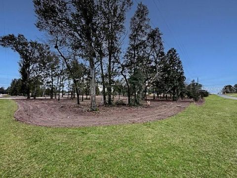 Tiny photo for Tbd SE 148th Terrace, Morriston, FL 32668 (MLS # OM723187)
