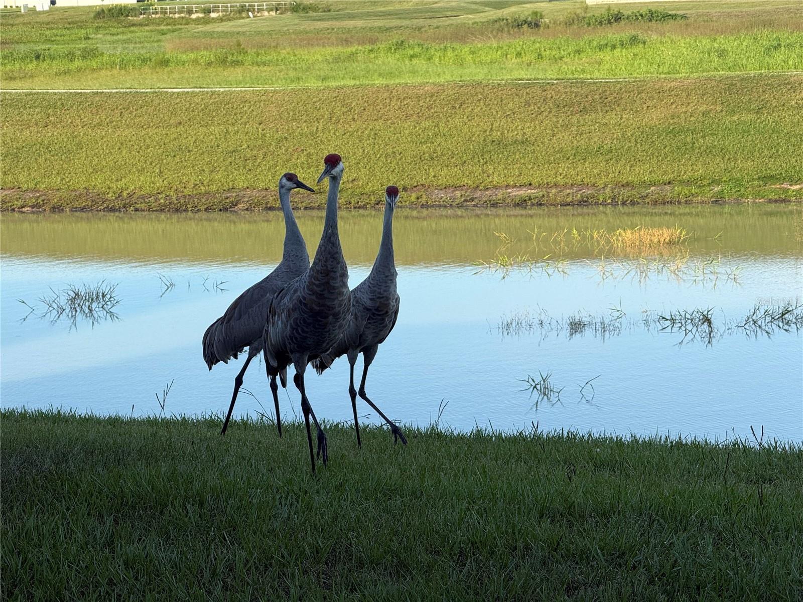 MIRADA PRCL 2 - Residential