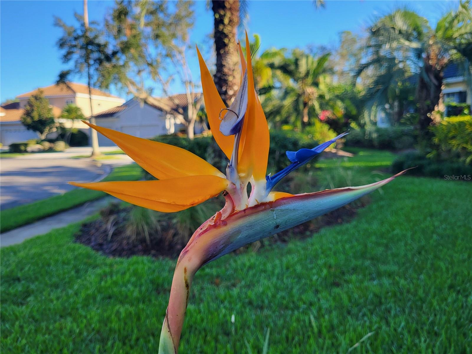 EDGEWATER VILLAGE SP B UN 1 - Residential