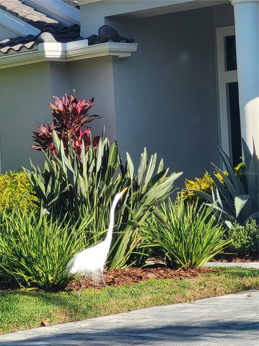 EDGEWATER VILLAGE SP B UN 1 - Residential