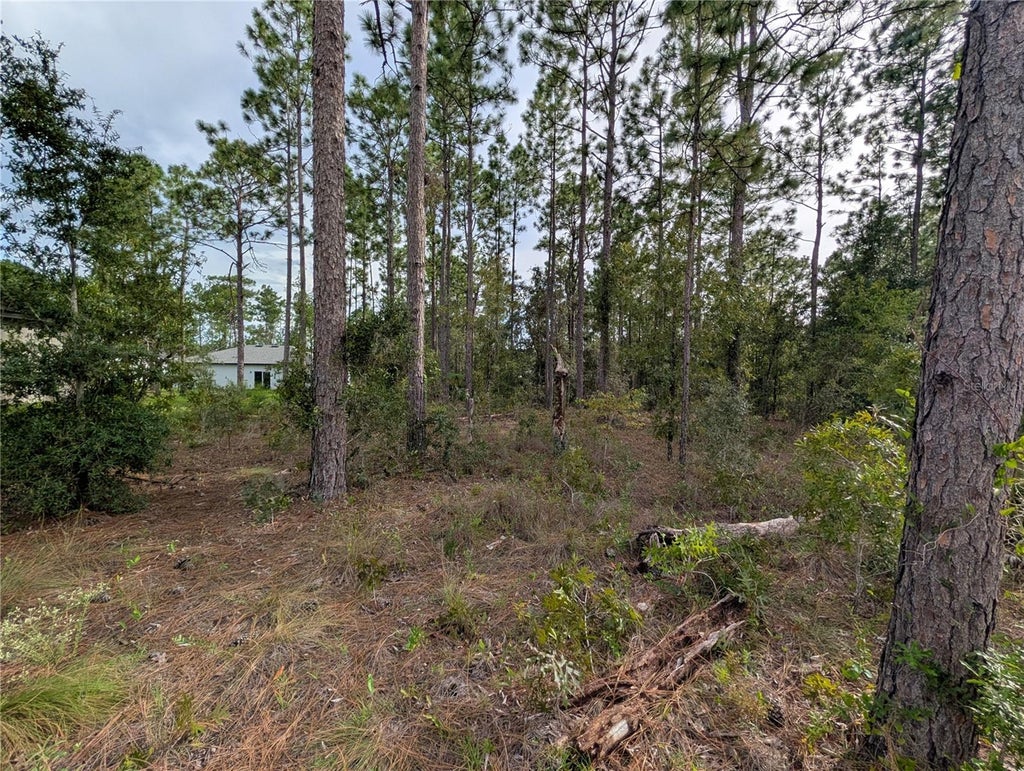 Photo of 640 W Heronsbill Lane, Citrus Springs, FL 34434 (MLS # OM732206)
