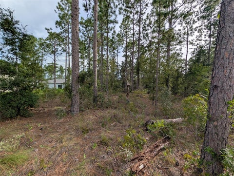 Photo of 640 W Heronsbill Lane, Citrus Springs, FL 34434 (MLS # OM732206)