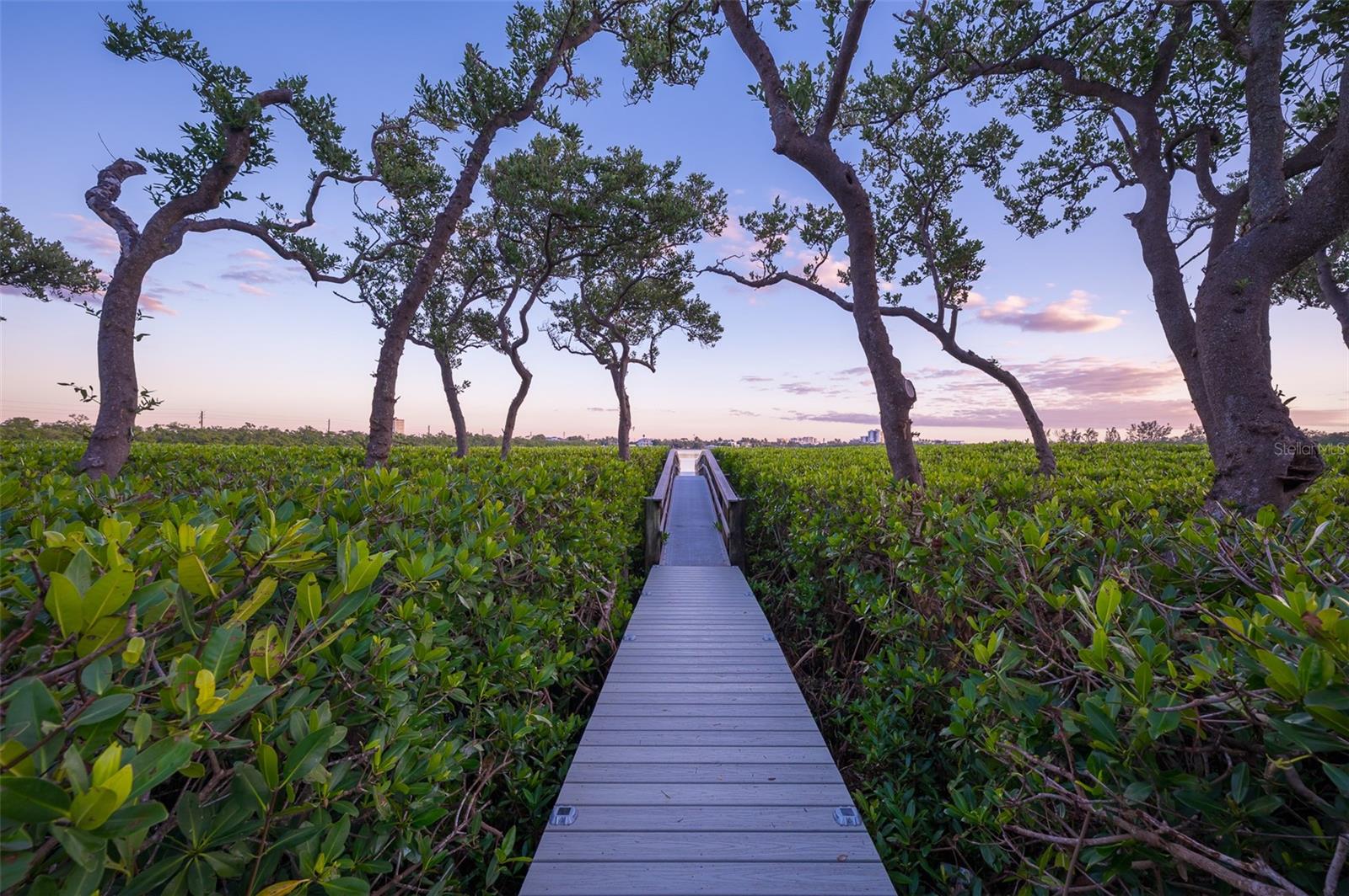 LIDO C - Residential