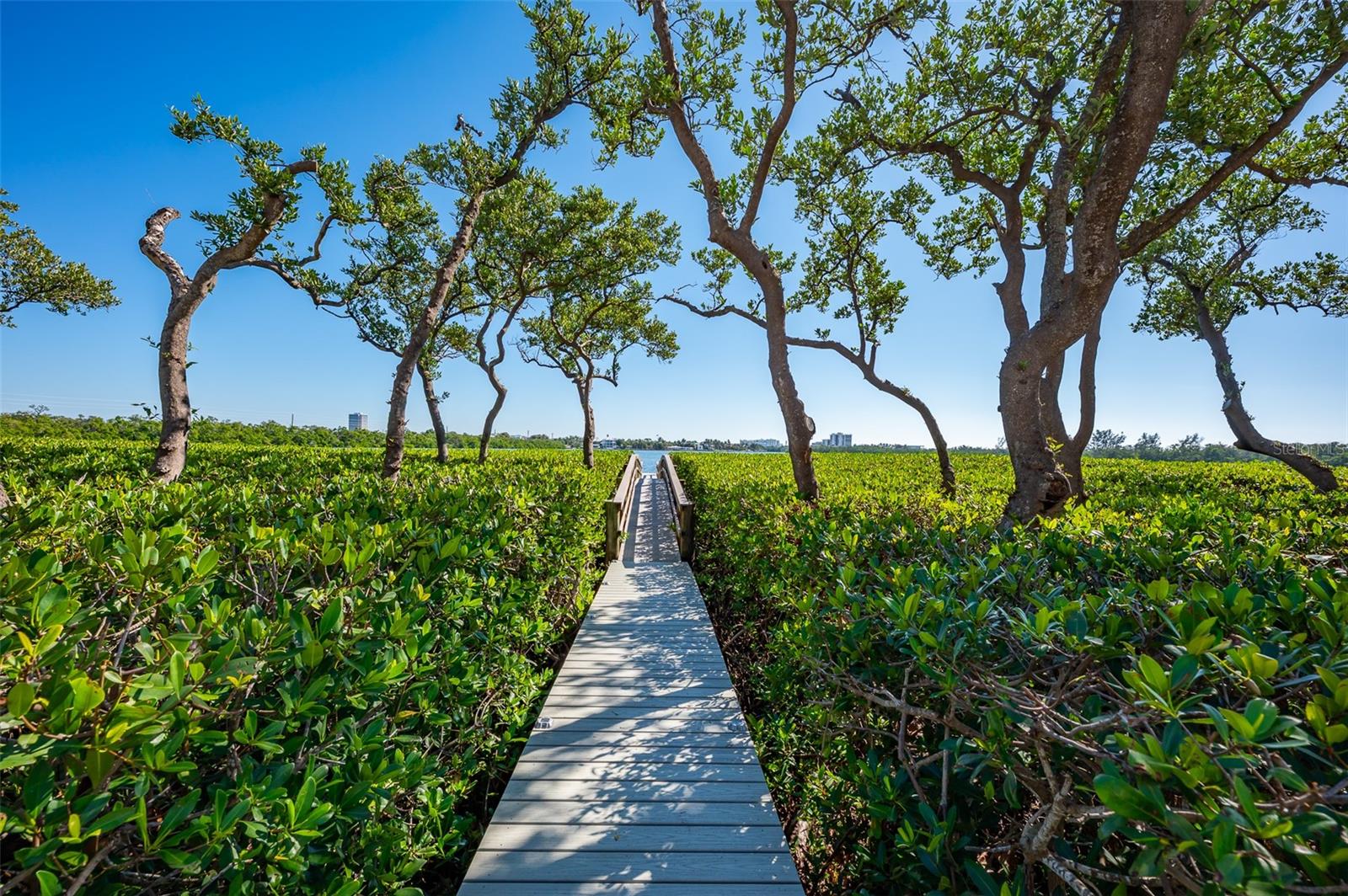 LIDO C - Residential