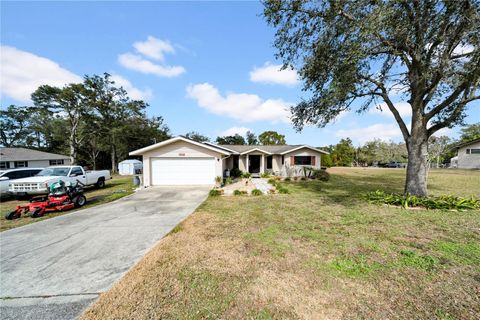 A home in DADE CITY