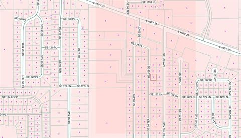 Tiny photo for 12241 SE 99th Terrace, Belleview, FL 34420 (MLS # OM720724)