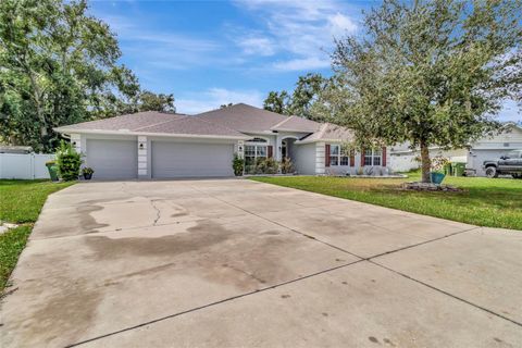 Photo of 2301 Angel Fish Loop, Leesburg, FL 34748 (MLS # G5103125)