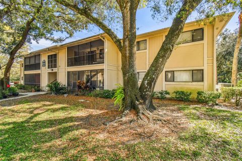 A home in TEMPLE TERRACE