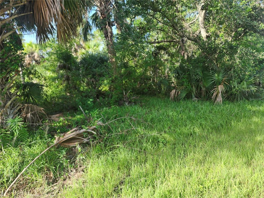 Photo of 18193 Poston Ave, Port Charlotte, FL 33948 (MLS # OM706757)