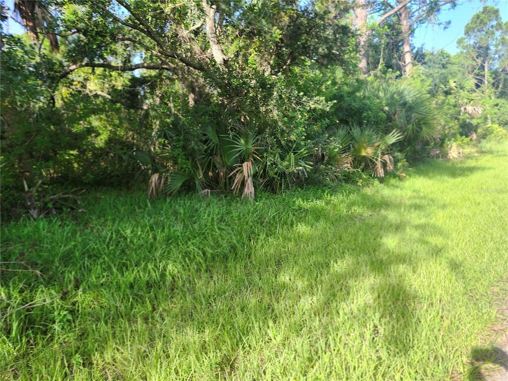 Photo of 18193 Poston Ave, Port Charlotte, FL 33948 (MLS # OM706757)