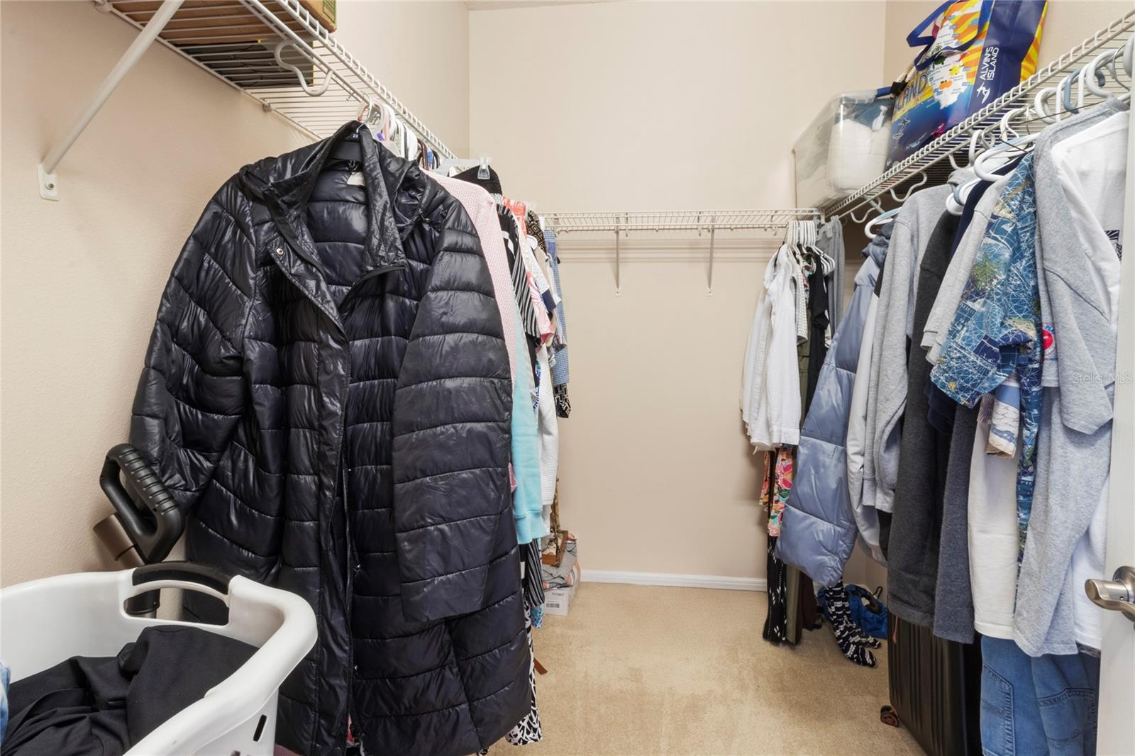 PALMA SOLA TRACE - Residential