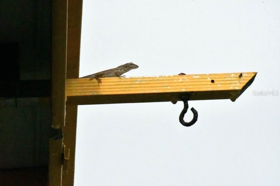 LAKEWOOD VILLAS - Residential