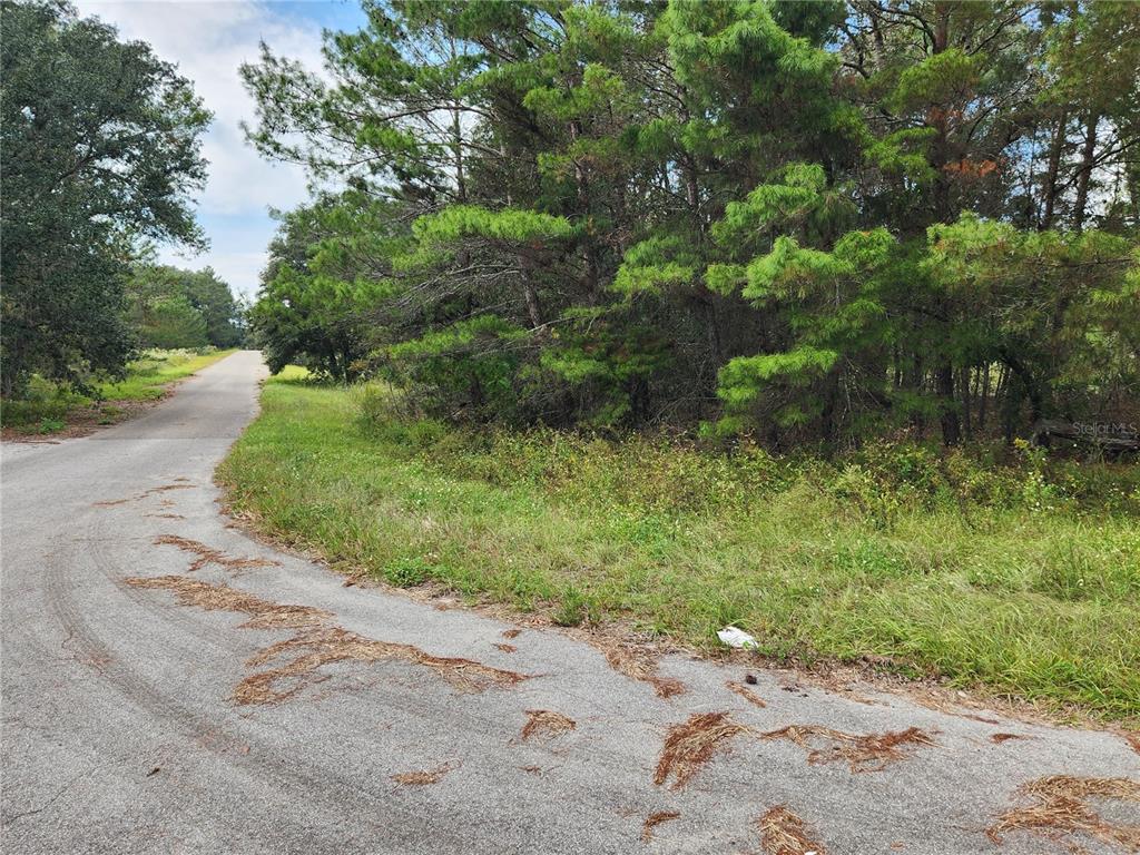 SILVER SPRINGS SHORES UN 37 - Land