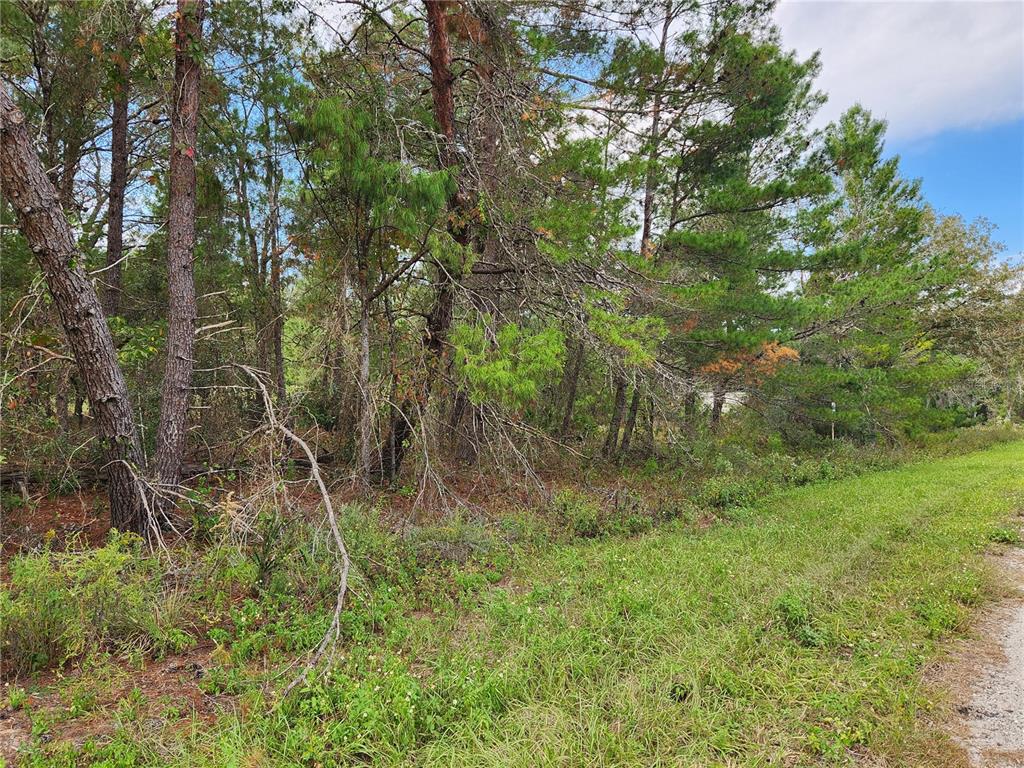 SILVER SPRINGS SHORES UN 37 - Land