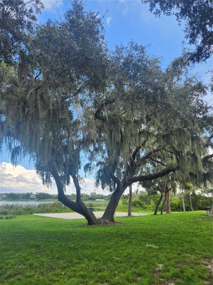 SUMMERPORT PH 03 - Residential