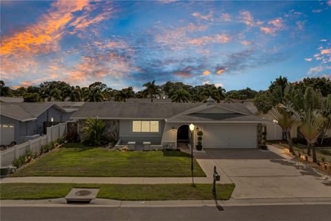 A home in SEMINOLE