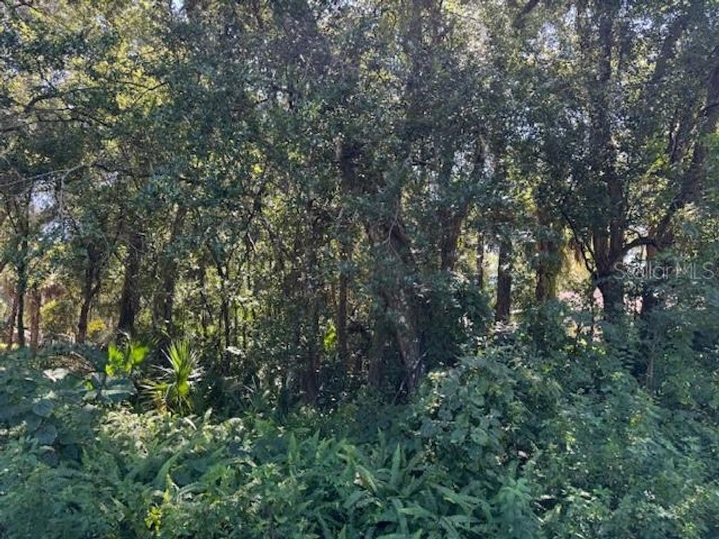 Photo of Beau Court, Orange City, FL 32763 (MLS # V4945451)