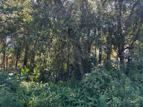 BEAU COURT ORANGE CITY FL 32763