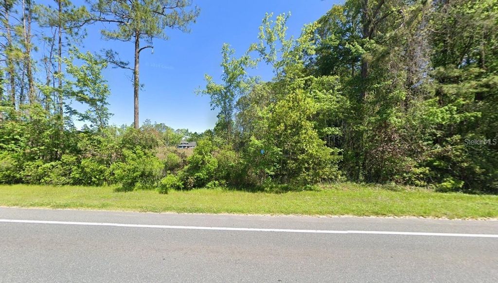 Photo of 4454 County Road 218, Middleburg, FL 32068 (MLS # A4681287)