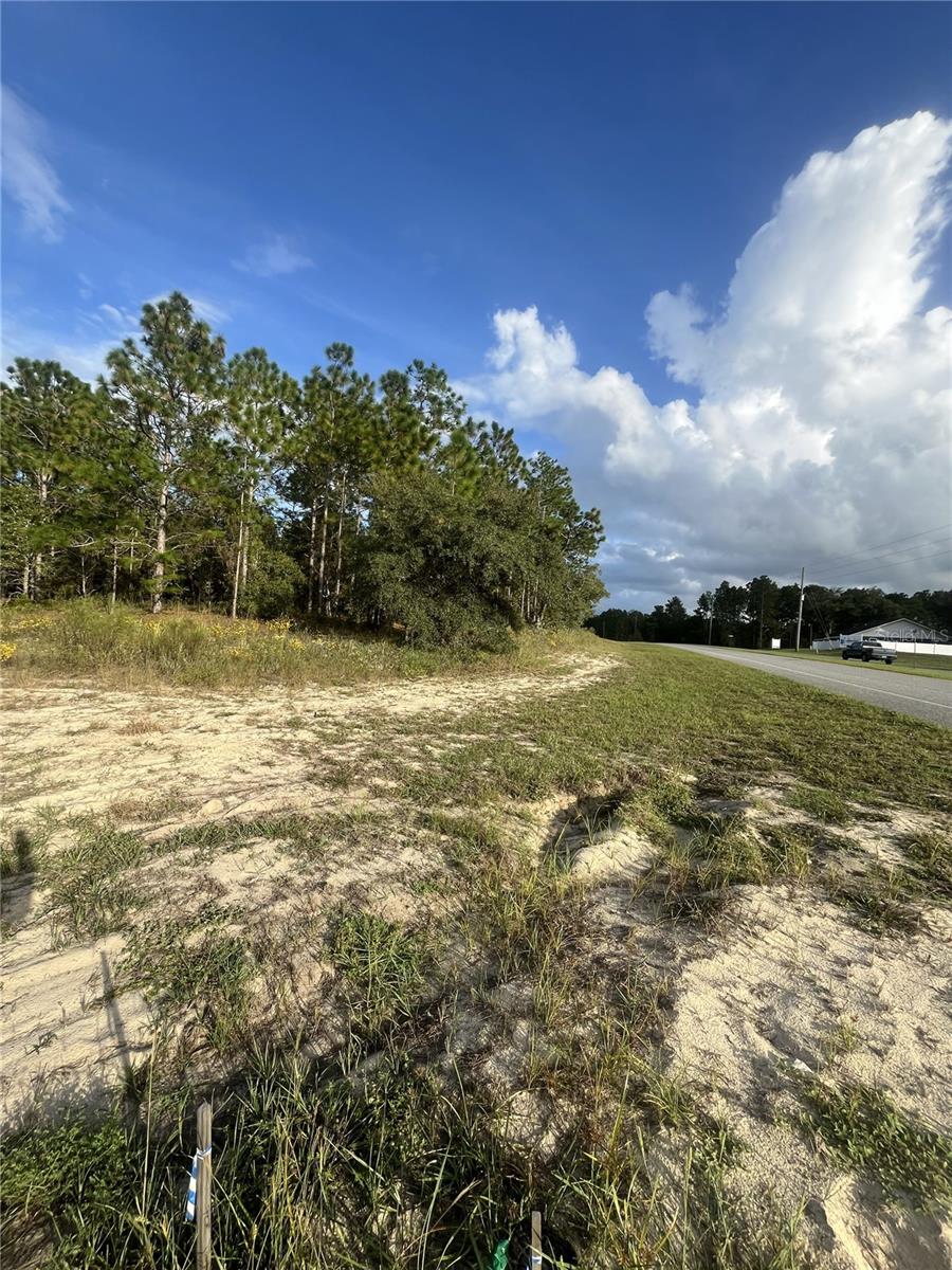 CITRUS SPRINGS UNIT 1 - Land