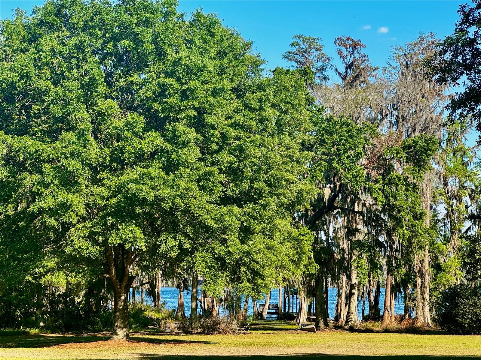 IN COUNTY - Residential