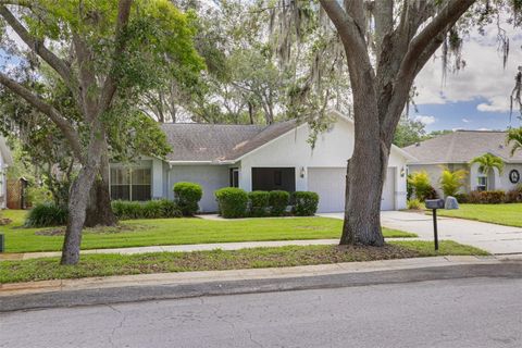 3569 OAK LAKE DRIVE PALM HARBOR FL 34684