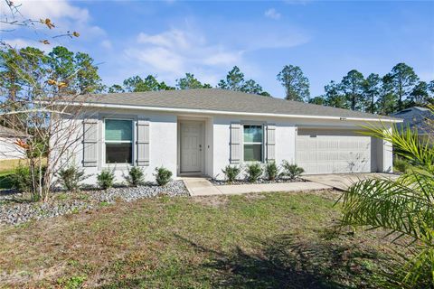 A home in PALM COAST