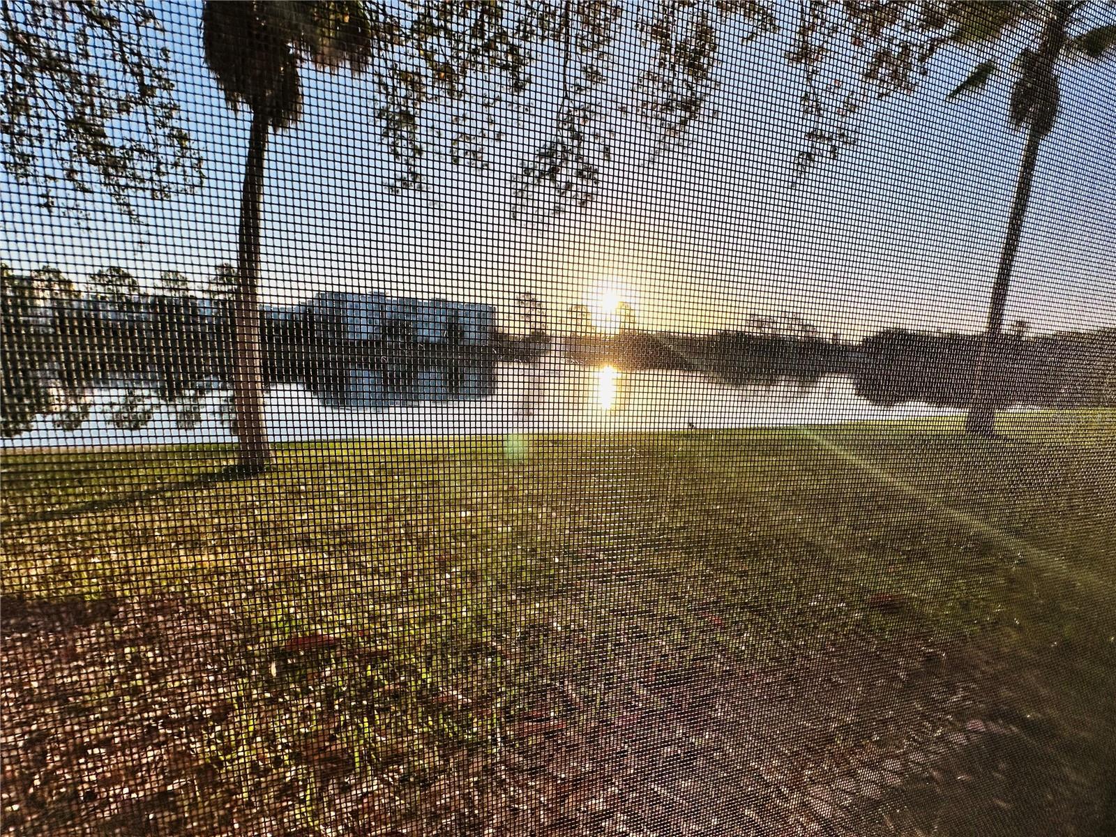 SUMMERFIELD - Residential Lease