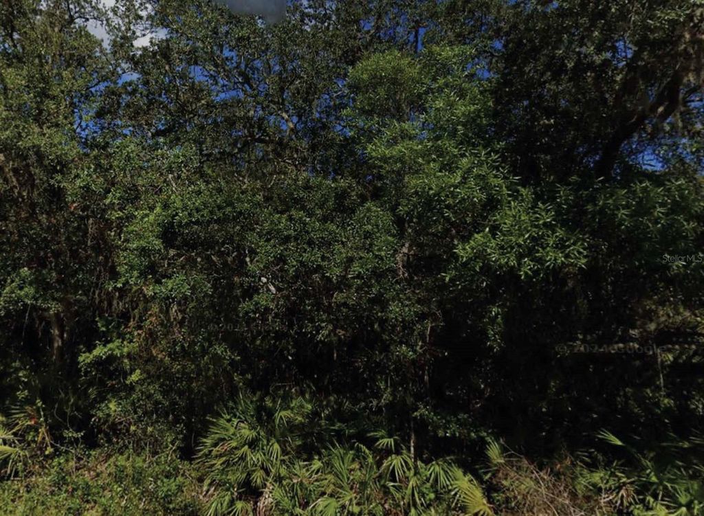 Photo of NE 47th Terrace, Citra, FL 32113 (MLS # O6391585)