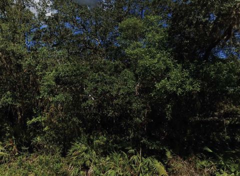 NE 47TH TERRACE CITRA FL 32113