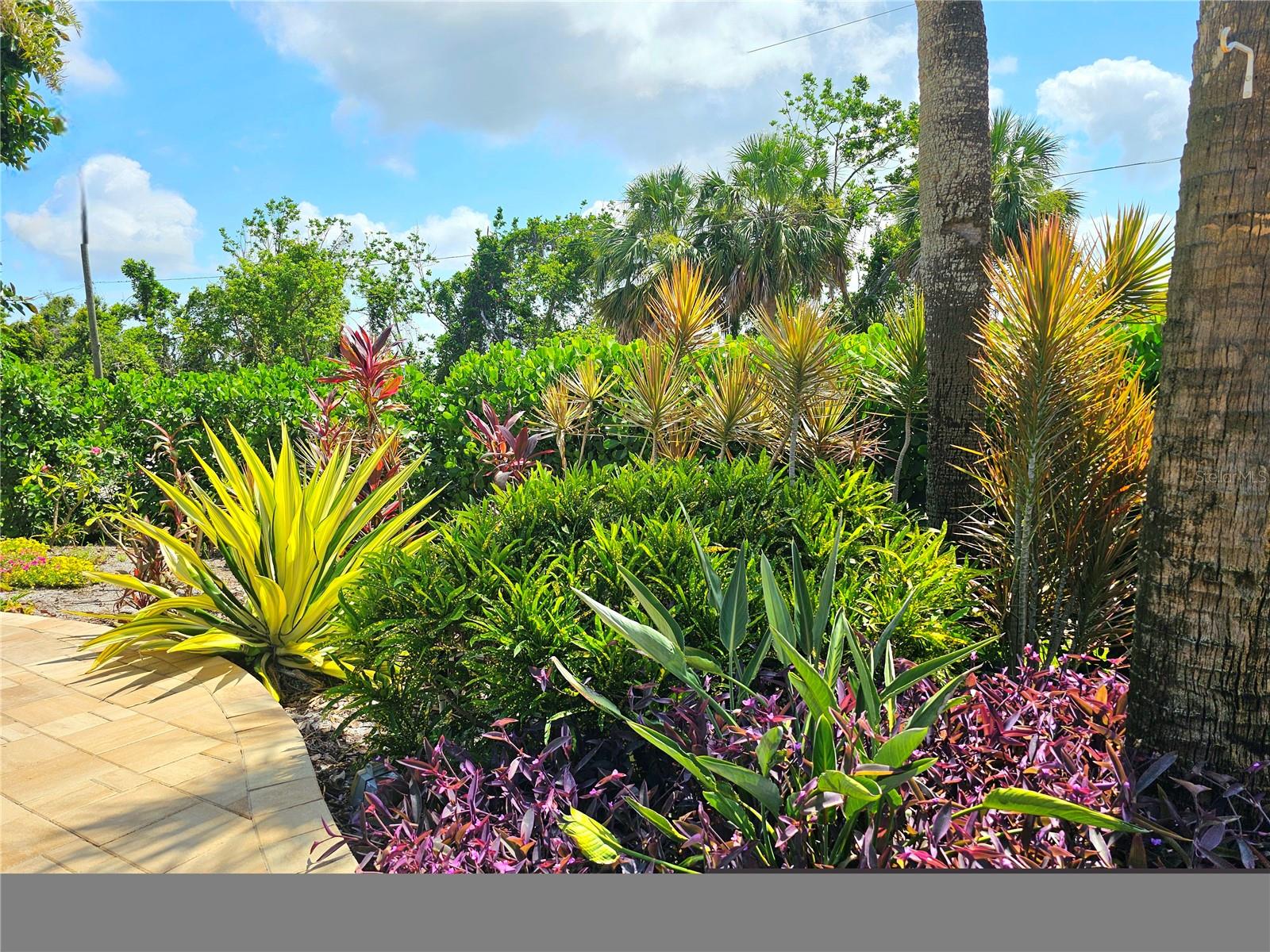 BAY LAKE ESTATES PH II - Residential