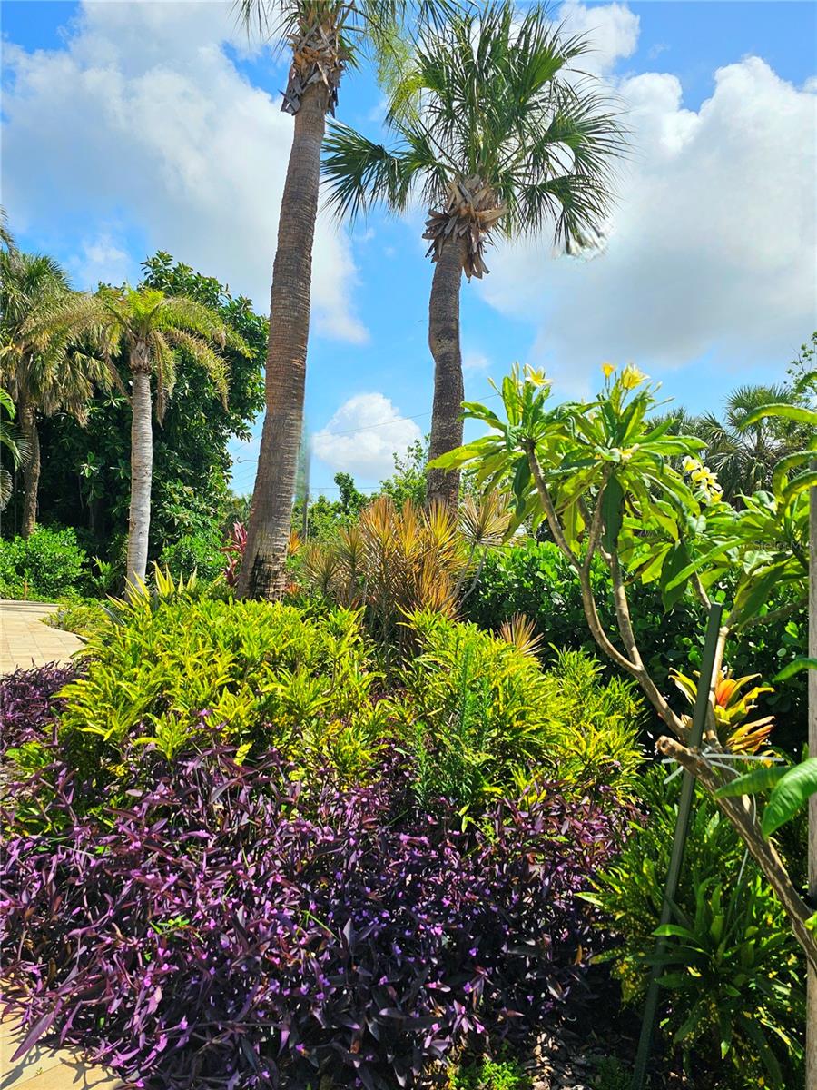 BAY LAKE ESTATES PH II - Residential