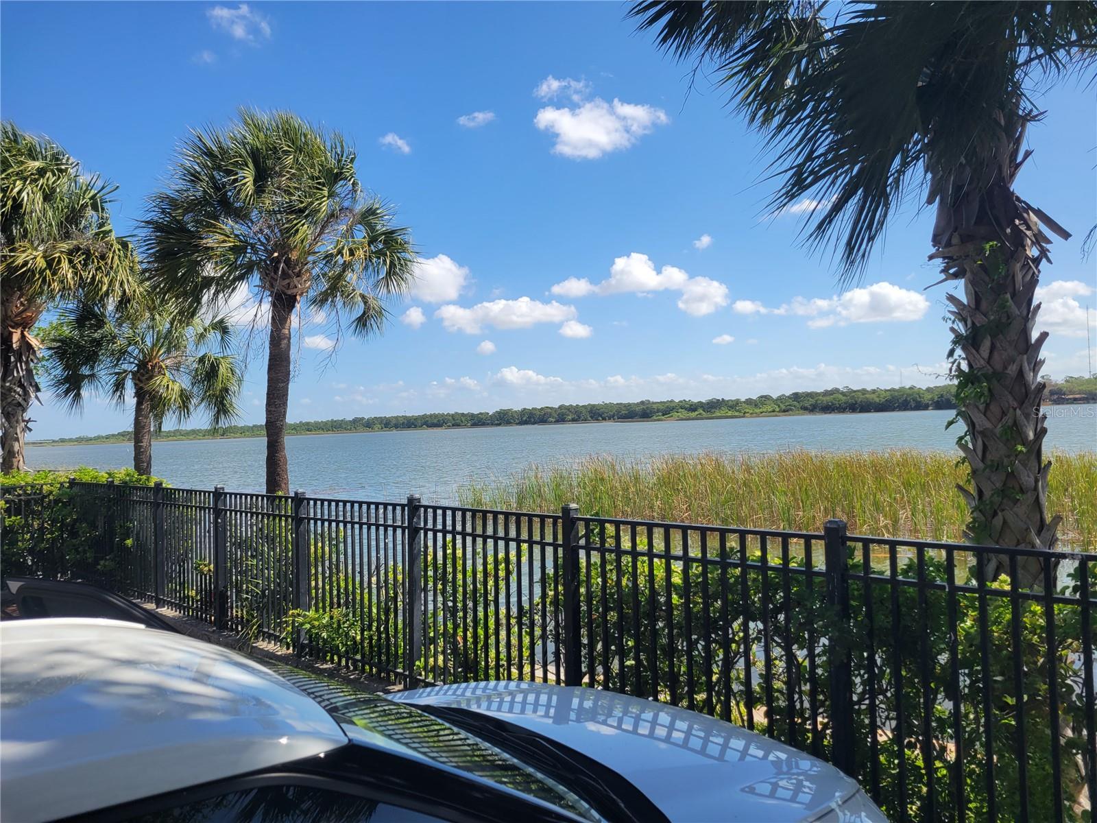 MONTEREY AT LAKE SEMINOLE CONDO - Residential