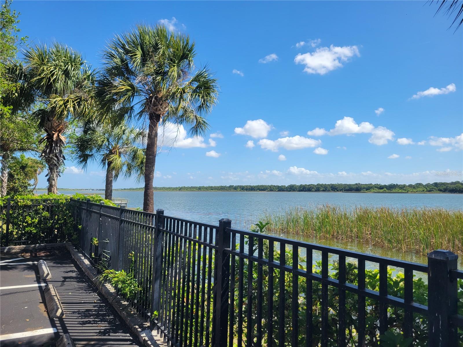 MONTEREY AT LAKE SEMINOLE CONDO - Residential