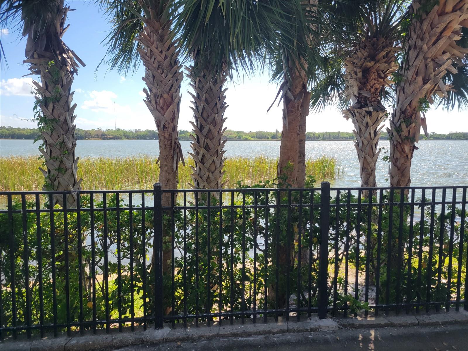 MONTEREY AT LAKE SEMINOLE CONDO - Residential