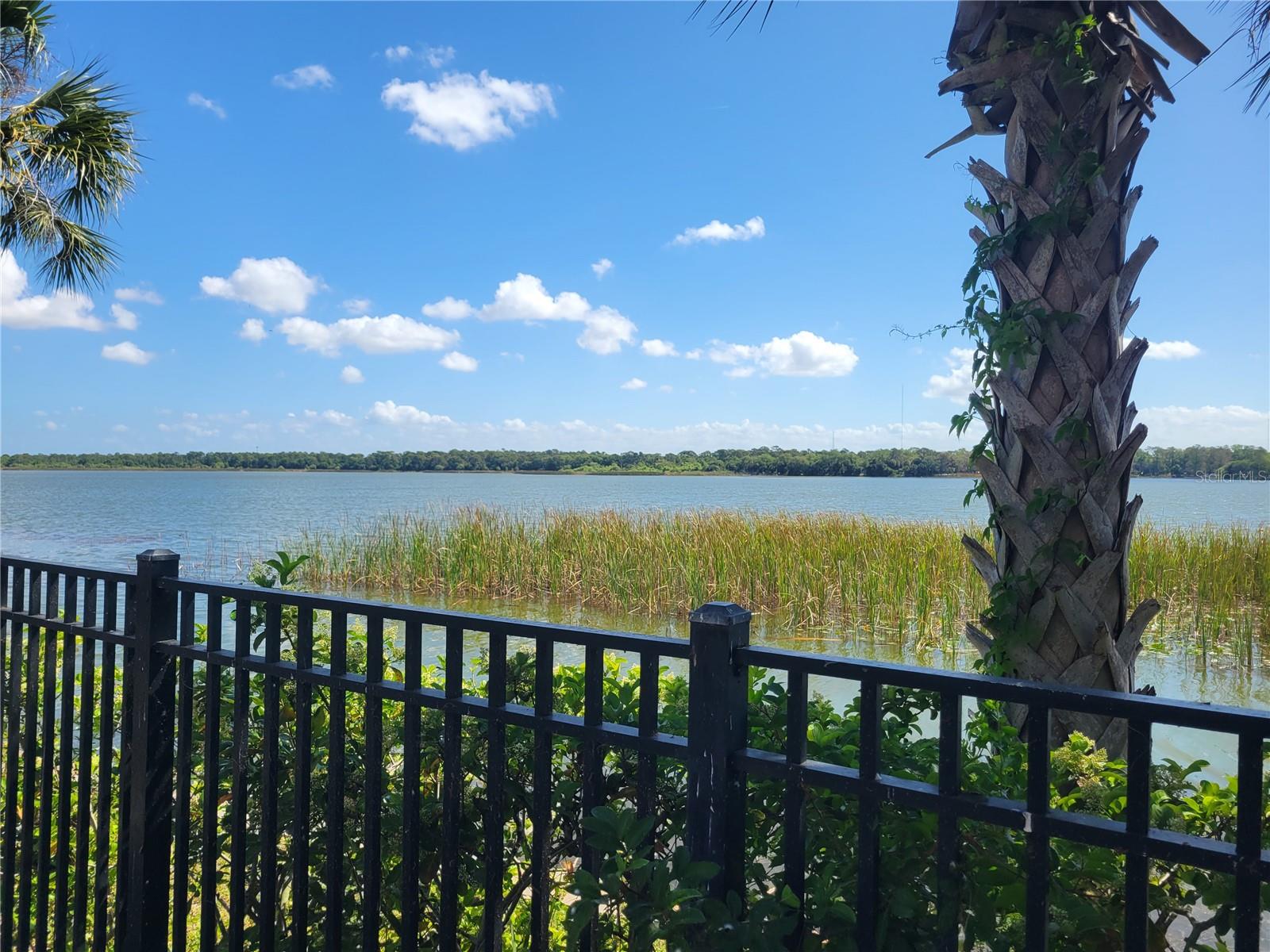 MONTEREY AT LAKE SEMINOLE CONDO - Residential