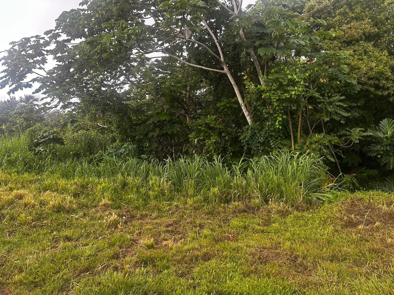 PR-1 KM 27.4 CAIMITO ALTO WARD