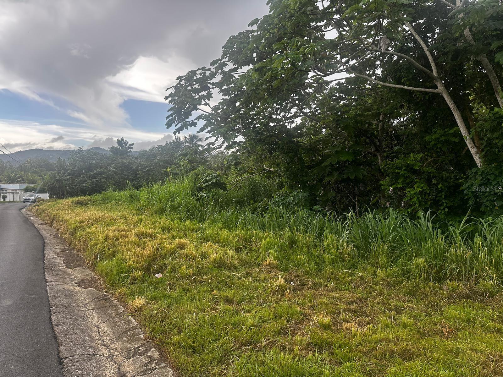 PR-1 KM 27.4 CAIMITO ALTO WARD