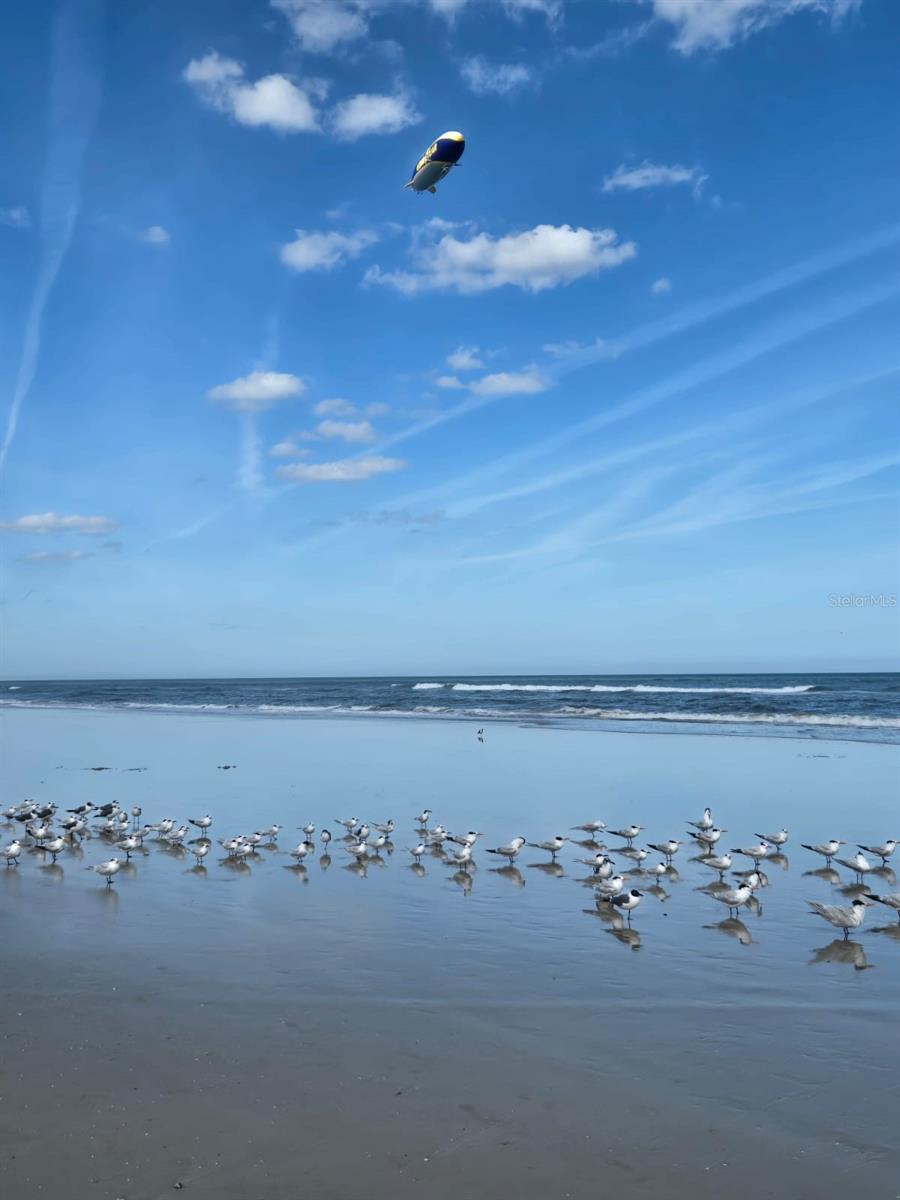 EDGEWATER LAKES SEAGATE COMMUNITY - Residential