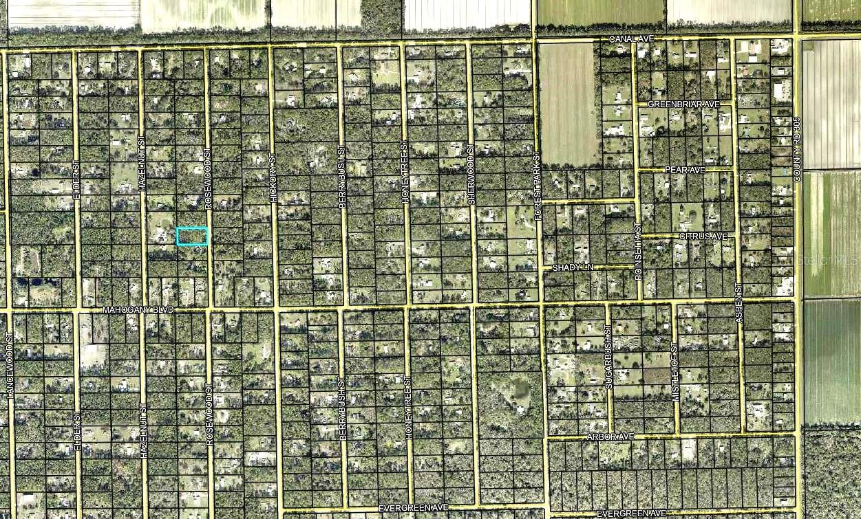 DAYTONA NORTH SUB - Land