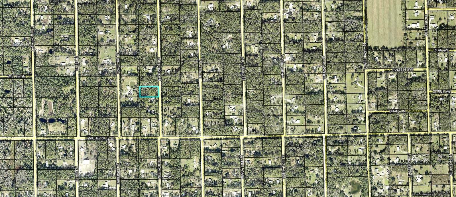 DAYTONA NORTH SUB - Land