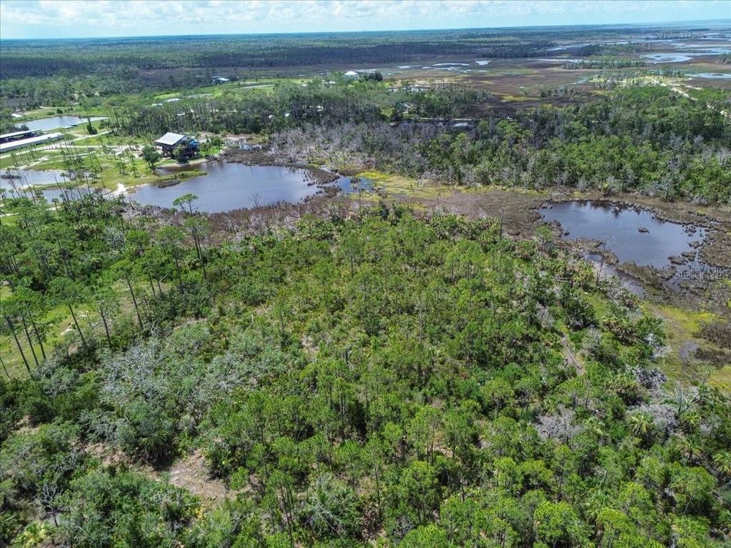 Photo of Tbd SW 276 Avenue, Steinhatchee, FL 32359 (MLS # GC540886)