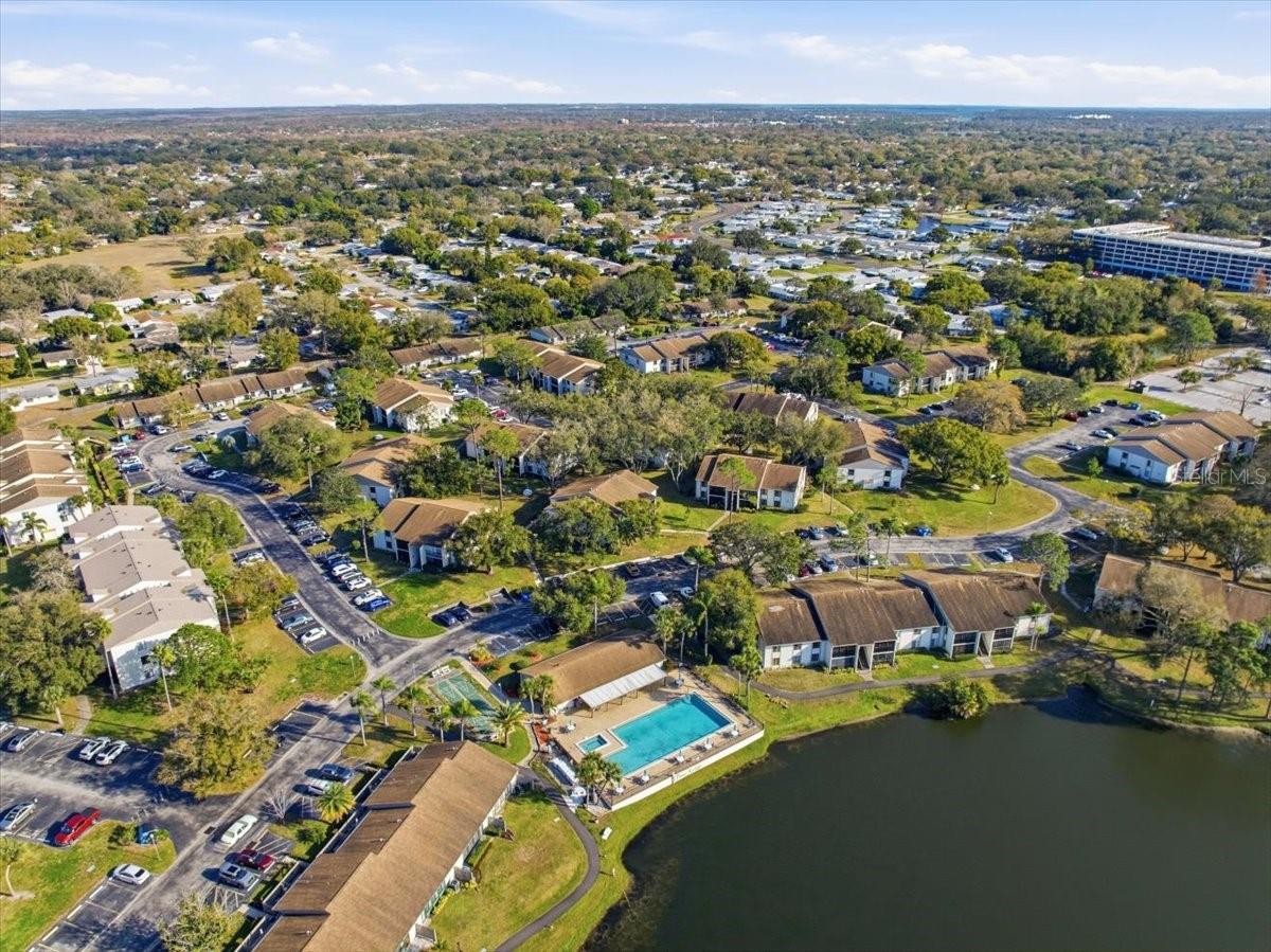 PINE RIDGE AT PALM HARBOR - Residential