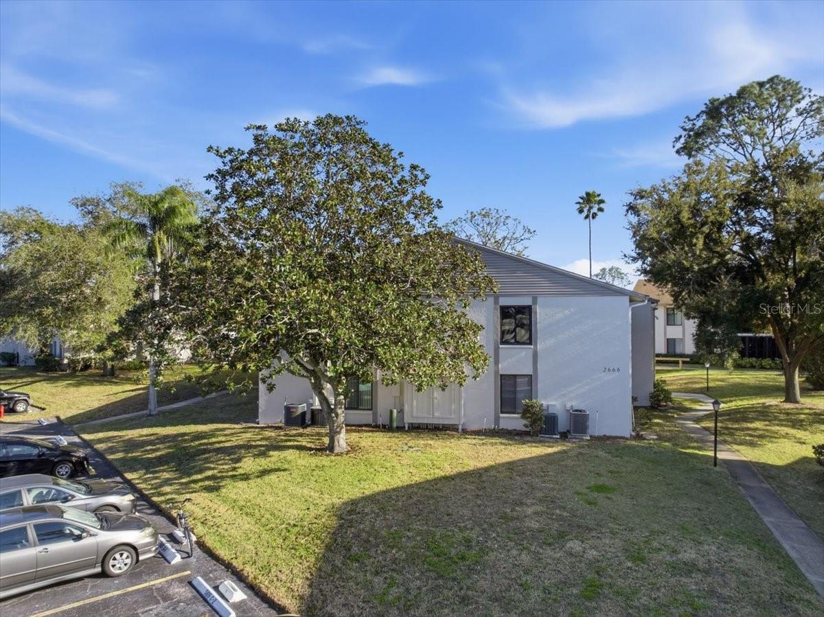 PINE RIDGE AT PALM HARBOR - Residential